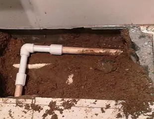 海港测漏水哪家好